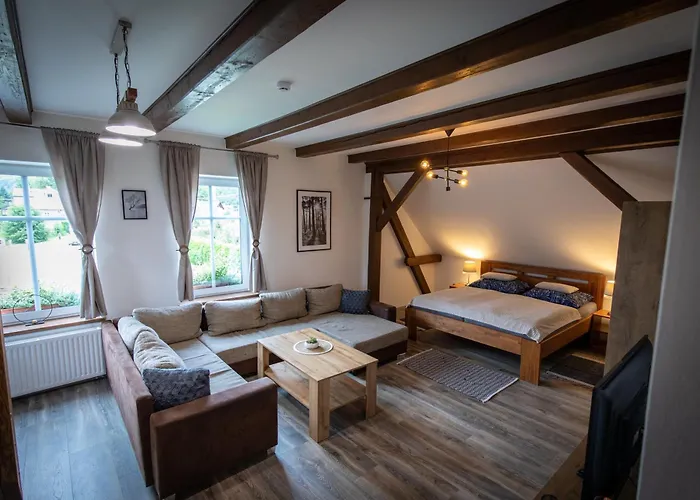 V Jesenikach Apartment *